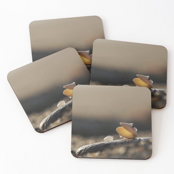 Item preview, Seashell at the Beach designed and sold by Nalinne Jones.