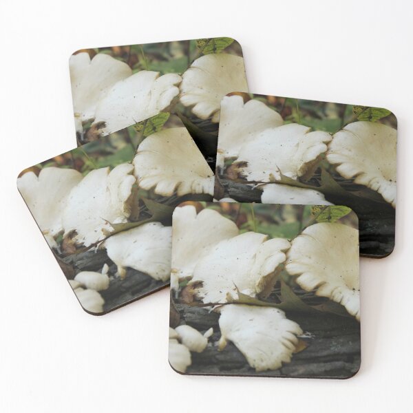 Item preview, Oyster Mushrooms designed and sold by dahlymama.