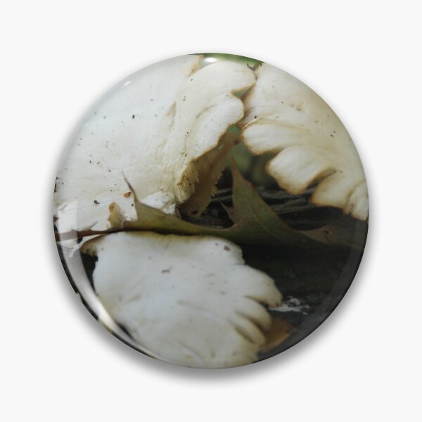 Item preview, Oyster Mushrooms designed and sold by dahlymama.