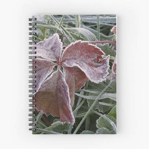 Item preview, Frosted designed and sold by Adam Bykowski.