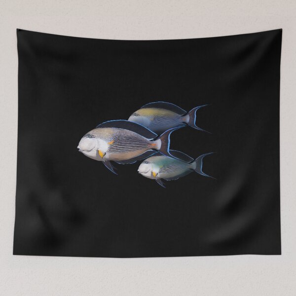Item preview, fish designed and sold by sibosssr.