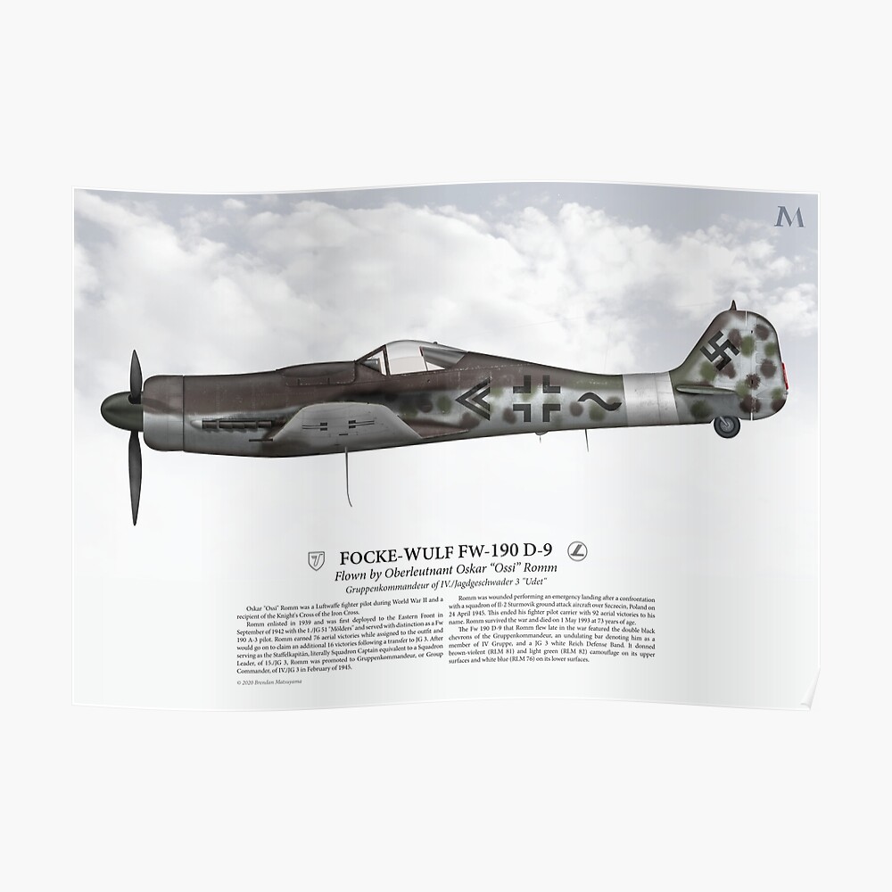 Focke Wulf Fw 190 D 9 Oskar Romm Art Print For Sale By Nothinguntried Redbubble