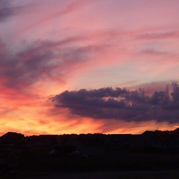 Artwork thumbnail, Hot Sky by webster7