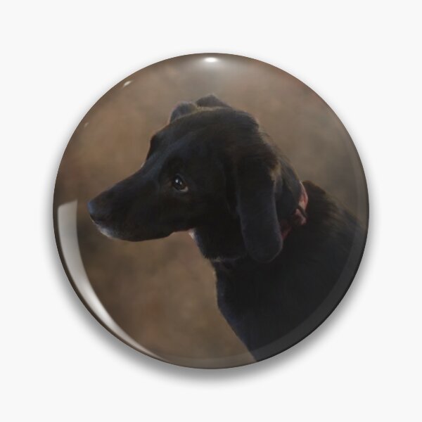 Pin Button