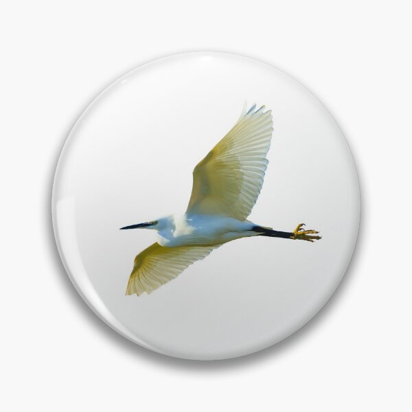 Item preview, Little Egret in flight designed and sold by Dalyndigital Photography.