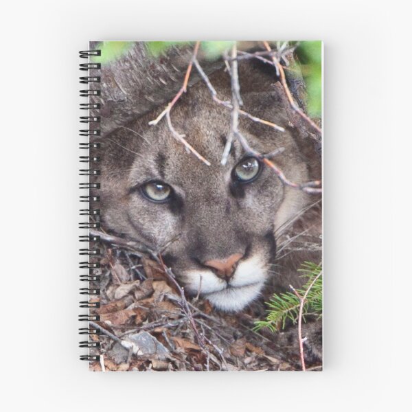 Item preview, COUGAR designed and sold by Jim Stiles.