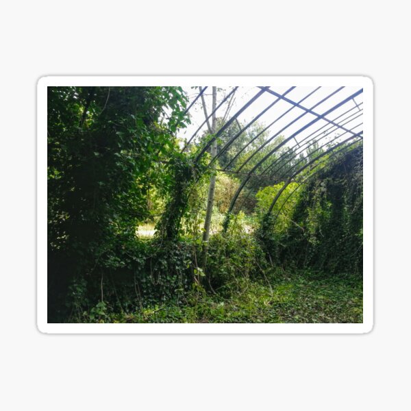 Greenhouse skeleton - abandoned. Sticker