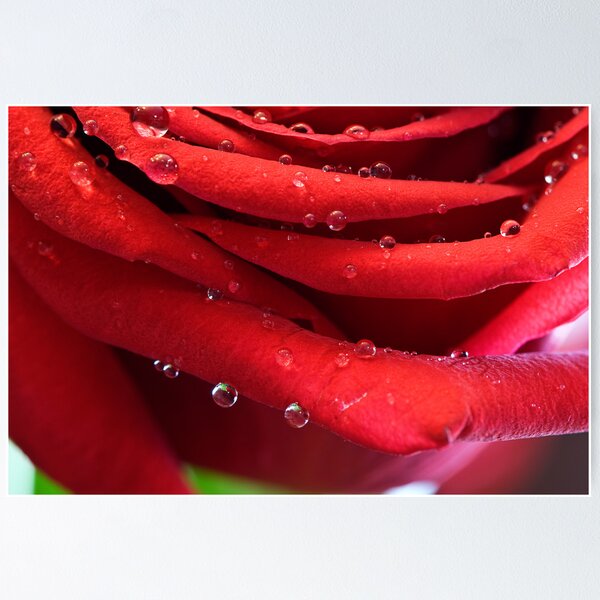 Item preview, Petal Drops designed and sold by Crystal Zacharias.
