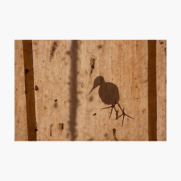 Bird on the Roof Photographic Print
