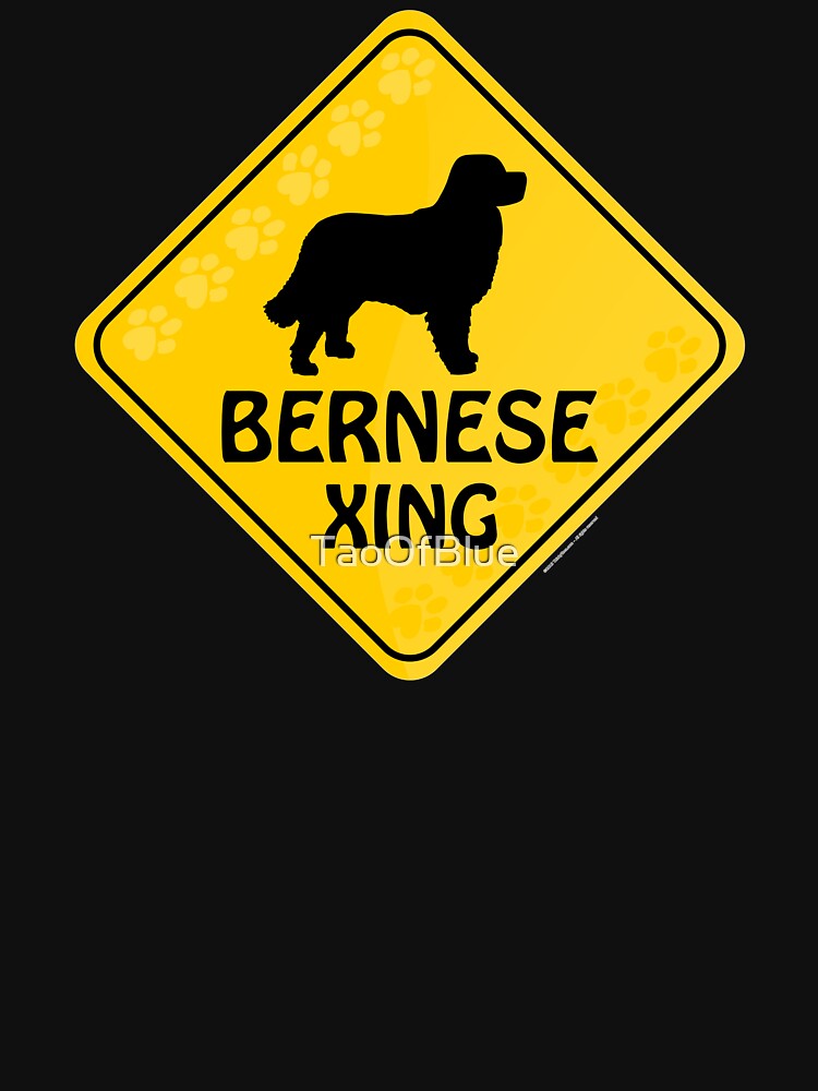 Bernese Xing by TaoOfBlue