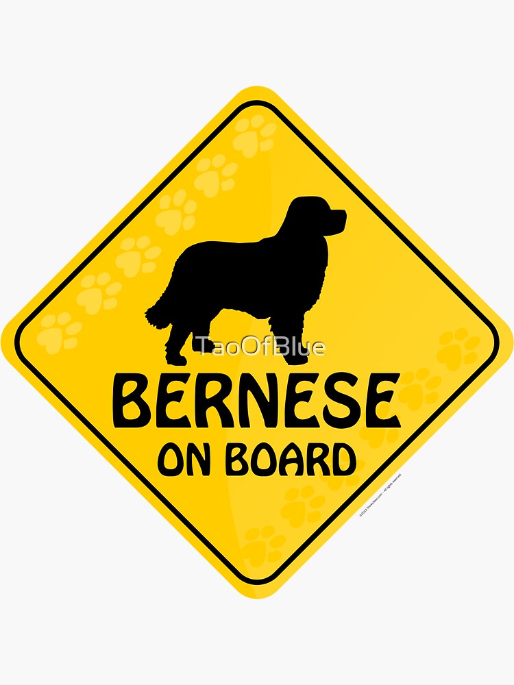 Bernese On Board by TaoOfBlue