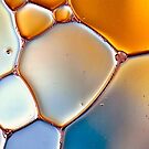 in the light by Mandy Brown