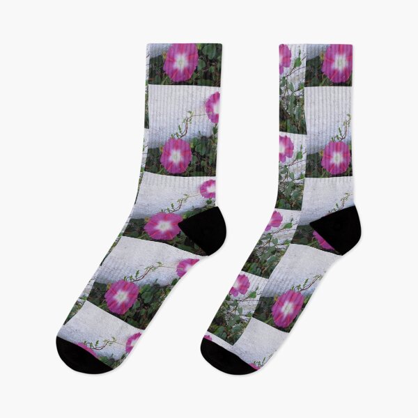 Item preview, Morning Glories designed and sold by Shulie1.