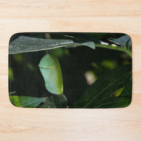 Item preview, Monarch Chrysalis 6 designed and sold by Robert Alsop.