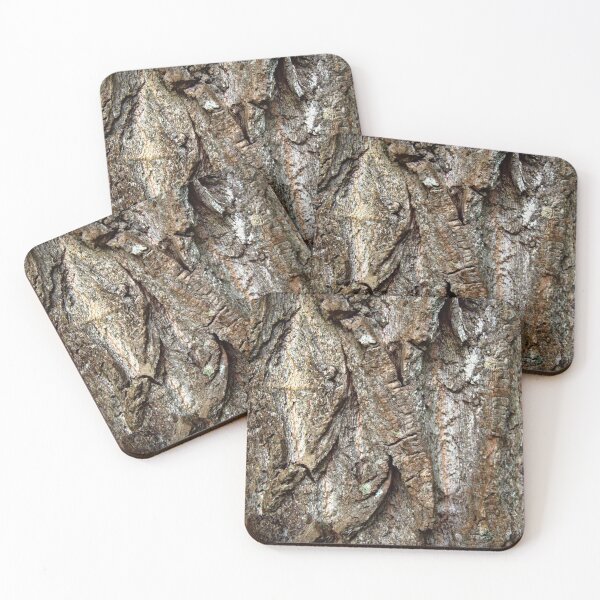 Item preview, oak bark designed and sold by FreyaCariad97.