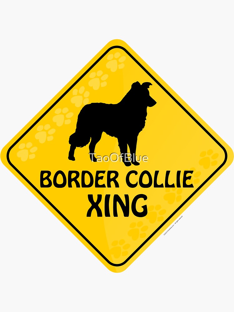Border Collie Xing by TaoOfBlue