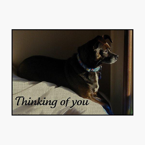 Artikelvorschau, Thinking of you entworfen und verkauft von Angie O'Connor.