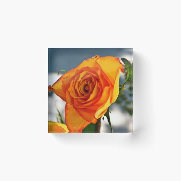 Item preview, cli yellow rose designed and sold by pcfyi.
