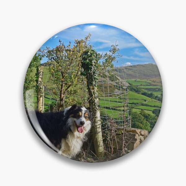 Item preview, Laddie's Sunday Stroll.  designed and sold by Michael Haslam.