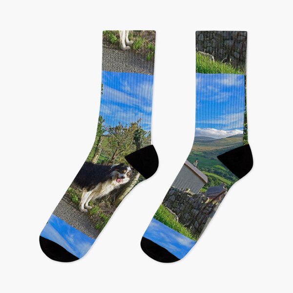 Item preview, Laddie's Sunday Stroll.  designed and sold by Michael Haslam.