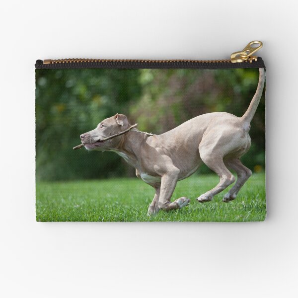 Fetch with Phoenix Zipper Pouch