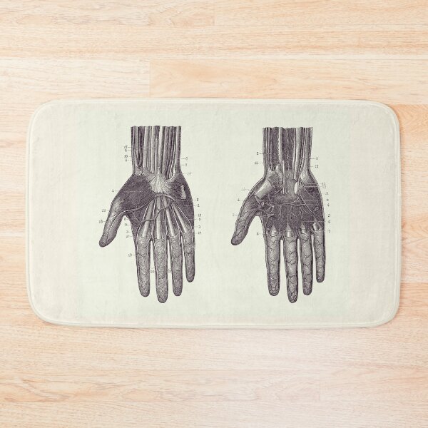 Item preview, Hand Muscular and Circulatory Systems - Dual View - Vintage Anatomy 2 designed and sold by VAposters.