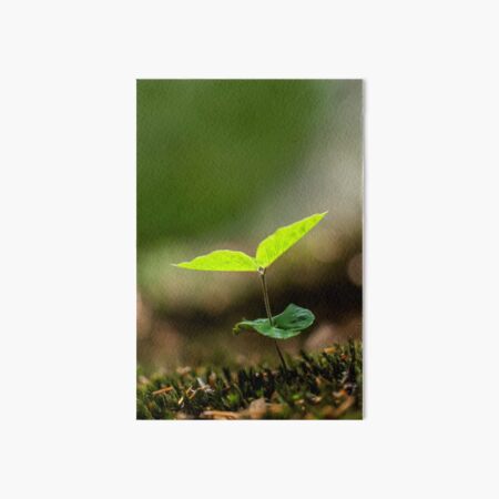 GROW Art Board Print