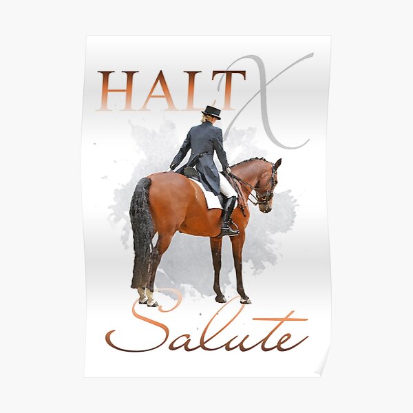 Halt X Salute Poster