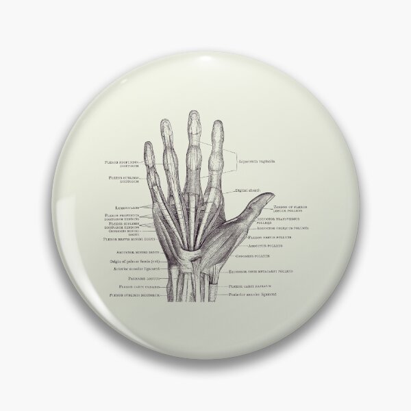 Item preview, Human Hand Diagram - Ligaments and Bones 2 designed and sold by VAposters.