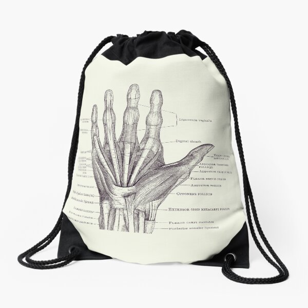 Item preview, Human Hand Diagram - Ligaments and Bones 2 designed and sold by VAposters.