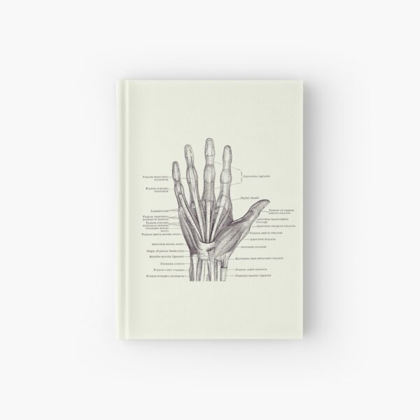 Item preview, Human Hand Diagram - Ligaments and Bones 2 designed and sold by VAposters.