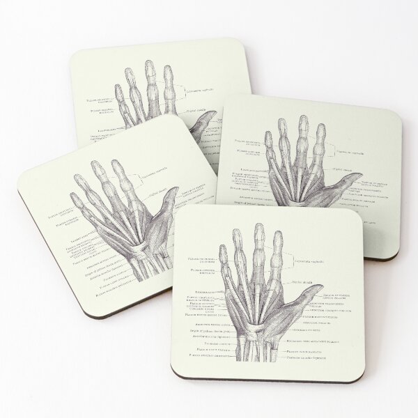 Item preview, Human Hand Diagram - Ligaments and Bones 2 designed and sold by VAposters.