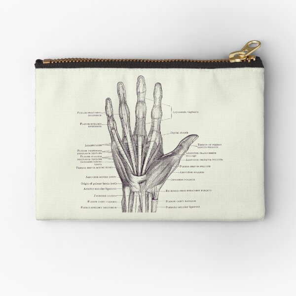 Item preview, Human Hand Diagram - Ligaments and Bones 2 designed and sold by VAposters.