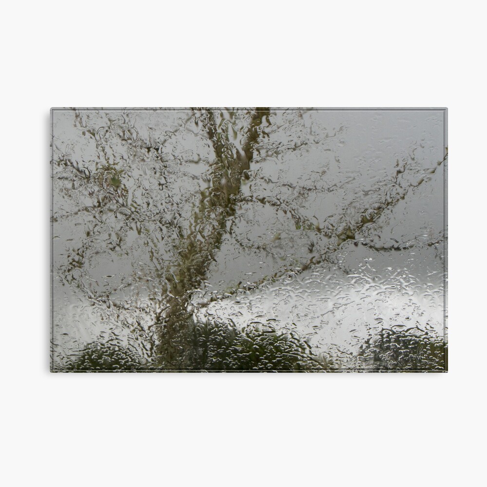 Gray Days Canvas Print