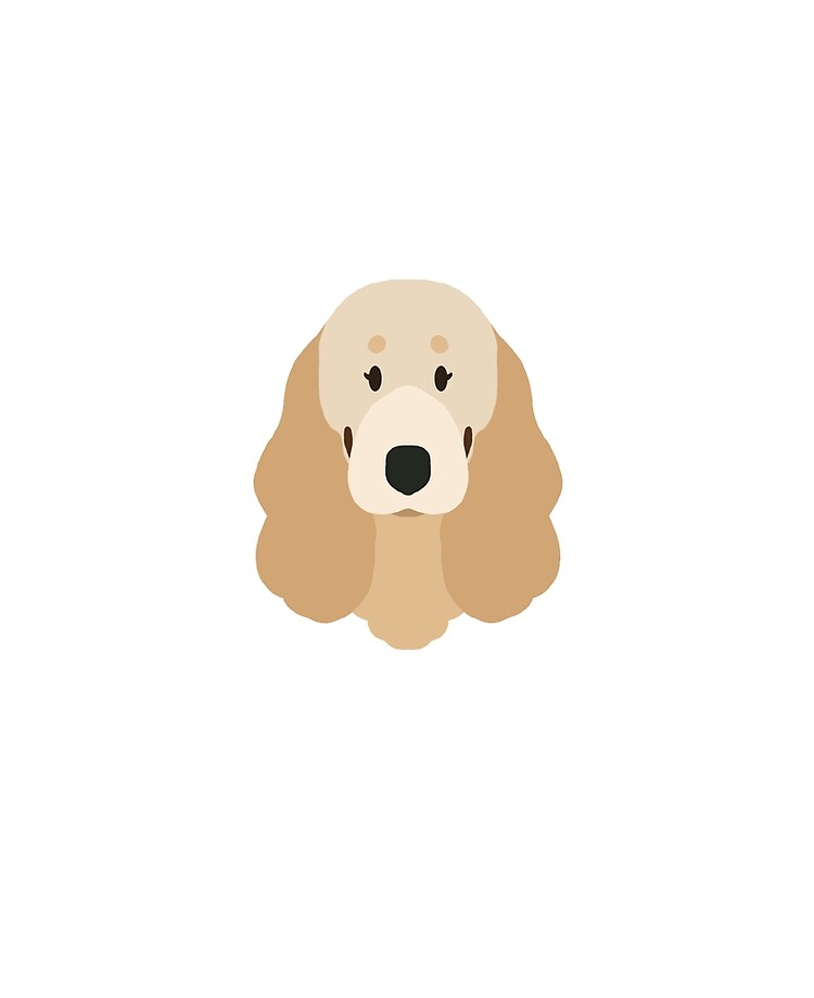 cream cocker spaniel