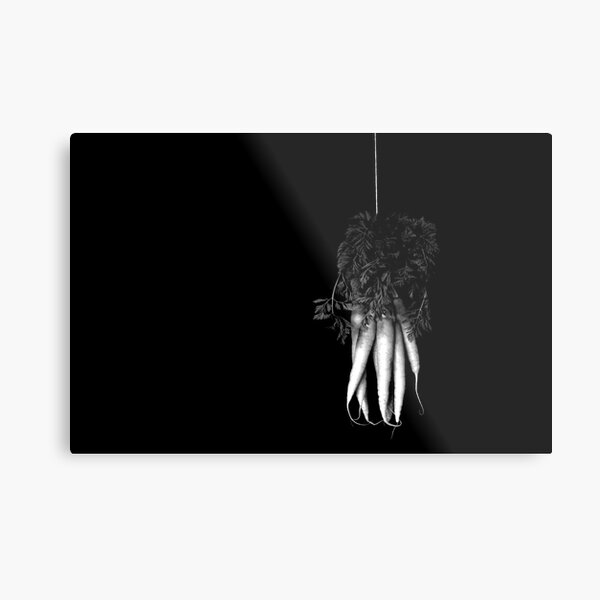 17th century carrots Metal Print