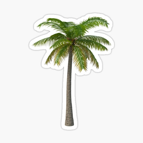 Item preview, Classic Palm Tree designed and sold by BlueStudio.