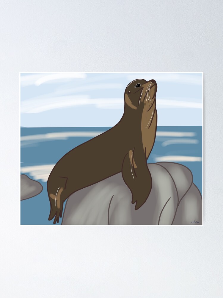 California Sea Lion California Sea Lion