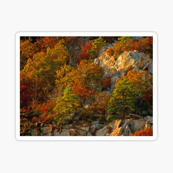 Item preview, Rustic Pinnacle Mountain designed and sold by Lisa Putman.