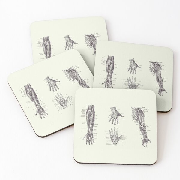 Item preview, Complete Arm and Hand Diagram - Vintage Anatomy Print 2 designed and sold by VAposters.