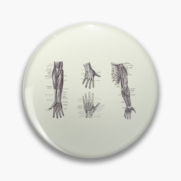 Item preview, Complete Arm and Hand Diagram - Vintage Anatomy Print 2 designed and sold by VAposters.