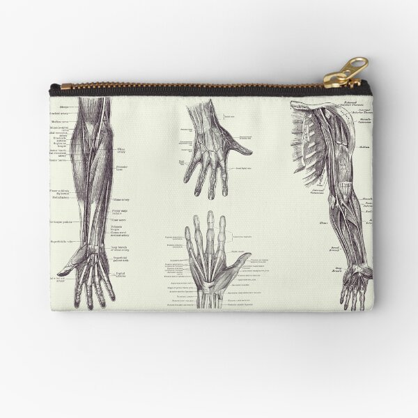 Item preview, Complete Arm and Hand Diagram - Vintage Anatomy Print 2 designed and sold by VAposters.
