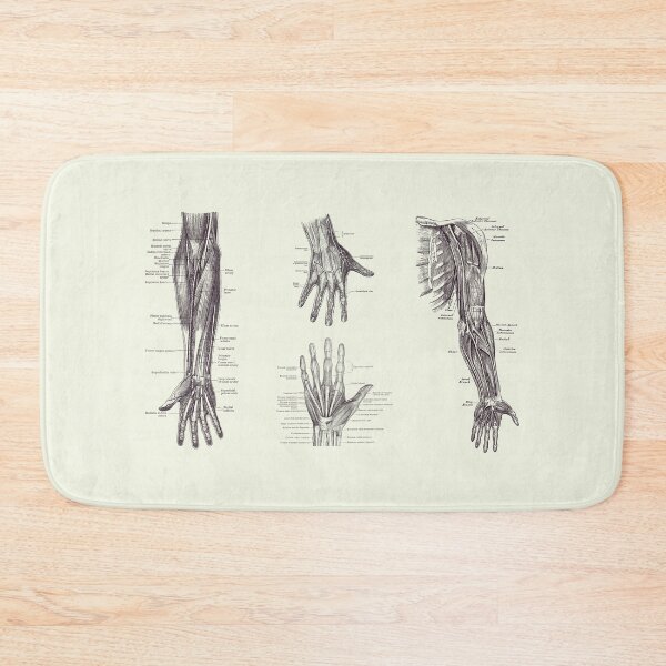 Item preview, Complete Arm and Hand Diagram - Vintage Anatomy Print 2 designed and sold by VAposters.
