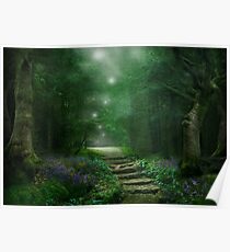 Spirit of the Woods Poster