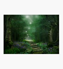 Spirit of the Woods Fotodruck