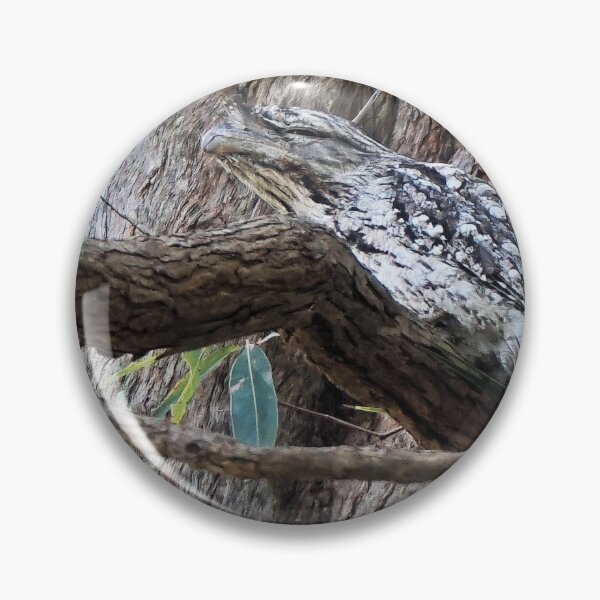 Item preview, Tawny Frogmouth2 designed and sold by Margaret Stevens.