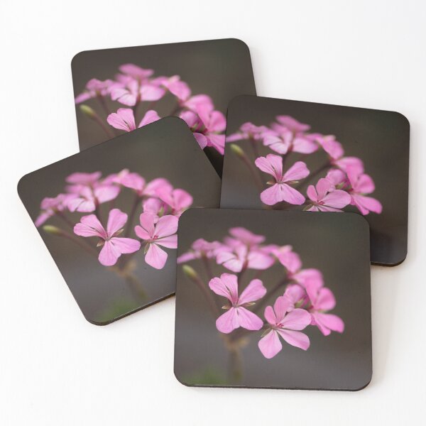 Item preview, Rosado designed and sold by Gnangarra.