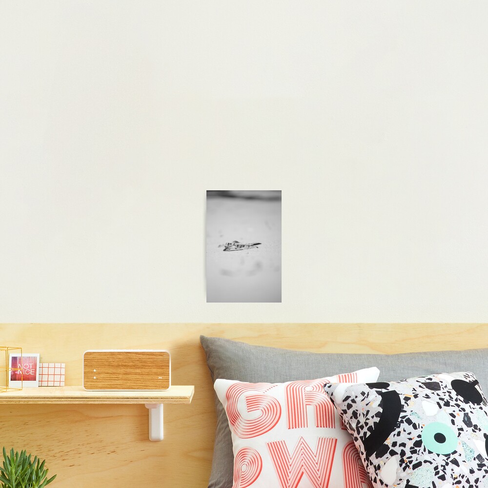 Item preview, Photographic Print designed and sold by MagdaLabuda.