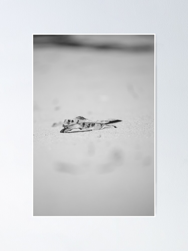 Thumbnail 1 of 3, Poster, Bumpy Leaf designed and sold by MagdaLabuda.