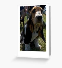 Why The Long Face? Greeting Card